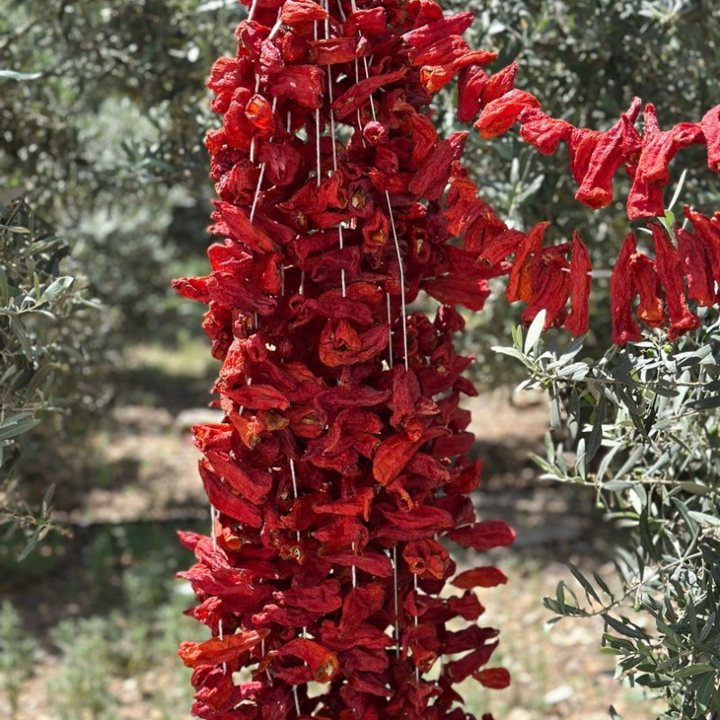 Doğal Kurutulmuş Tatlı Kale Biberi – Aromatik ve Katkısız (35–42 Adet)