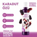 Organik Karadut Özü 700 Gr – Doğal, Katkısız ve Besleyici